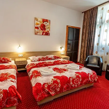 Aparthotel Casa Steluta 3*