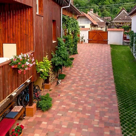 Casa Steluta Sighișoara