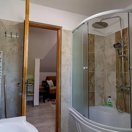 Hotel apartamentowy Casa Steluta Sighișoara