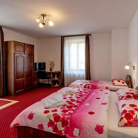 Casa Steluta 3*