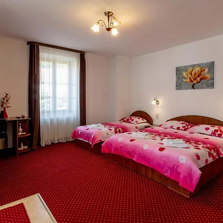 Casa Steluta Aparthotel Sighisoara