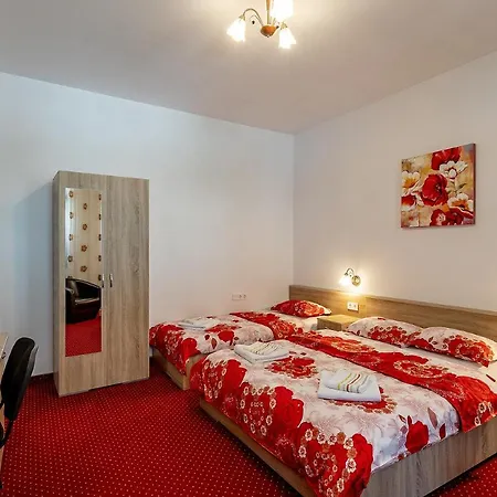 Casa Steluta