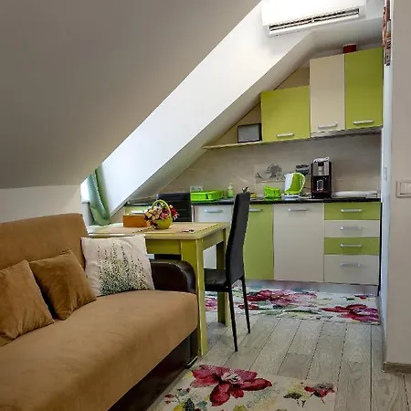 Hotel apartamentowy Casa Steluta Sighișoara