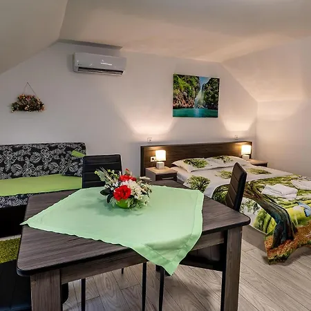 Casa Steluta Hotel apartamentowy
