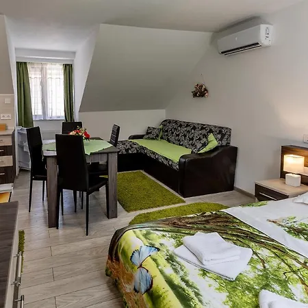 Casa Steluta Aparthotel