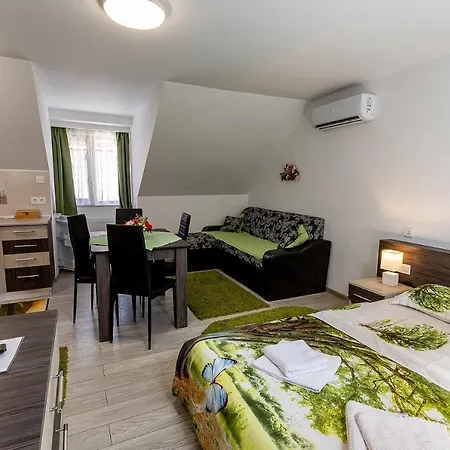 Casa Steluta Aparthotel Sighisoara