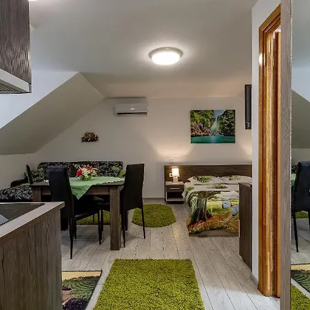 Casa Steluta Aparthotel