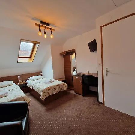 Casa Steluta Sighisoara
